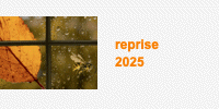 guepes_rocher
